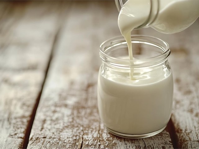 ¿Qué es un probiótico y por qué son recomendables?